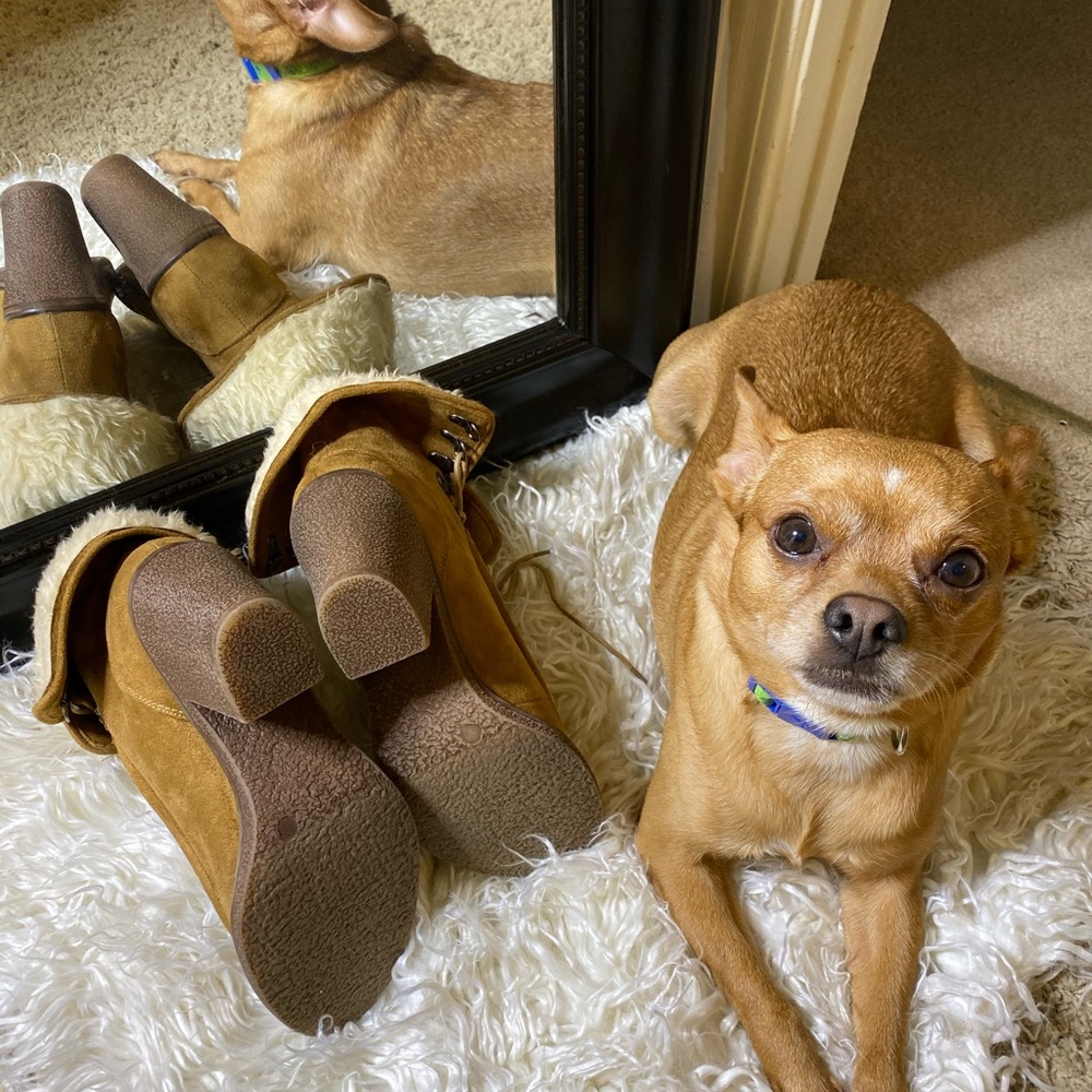Suede Ankle Boot - Picture 5 of 5